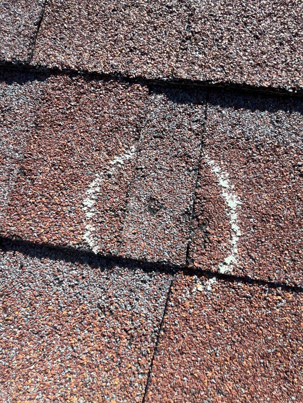 Expert Roofing Assessment in Denver CO