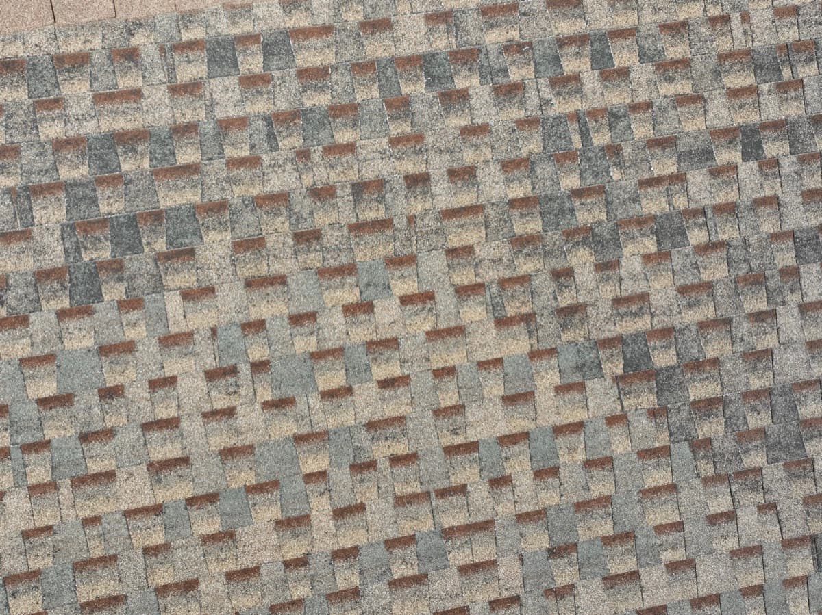 Close-up of hail damage on asphalt shingles in Colorado